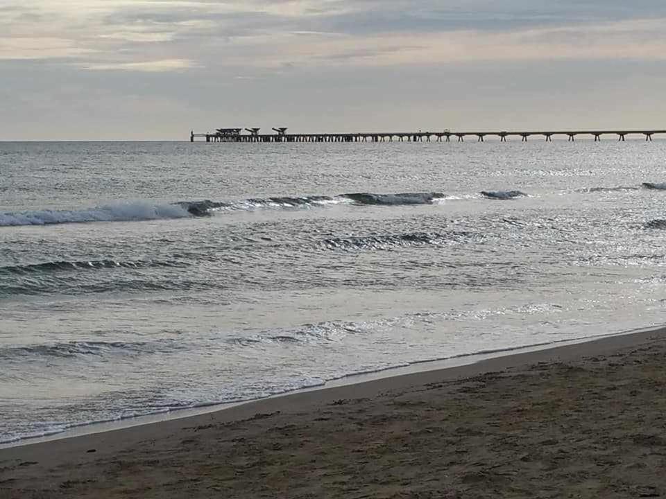 Mediterrania Marina Sagunto المظهر الخارجي الصورة