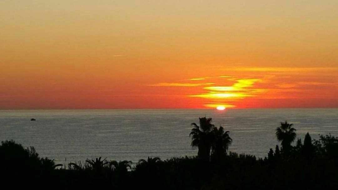Mediterrania Marina Sagunto الغرفة الصورة