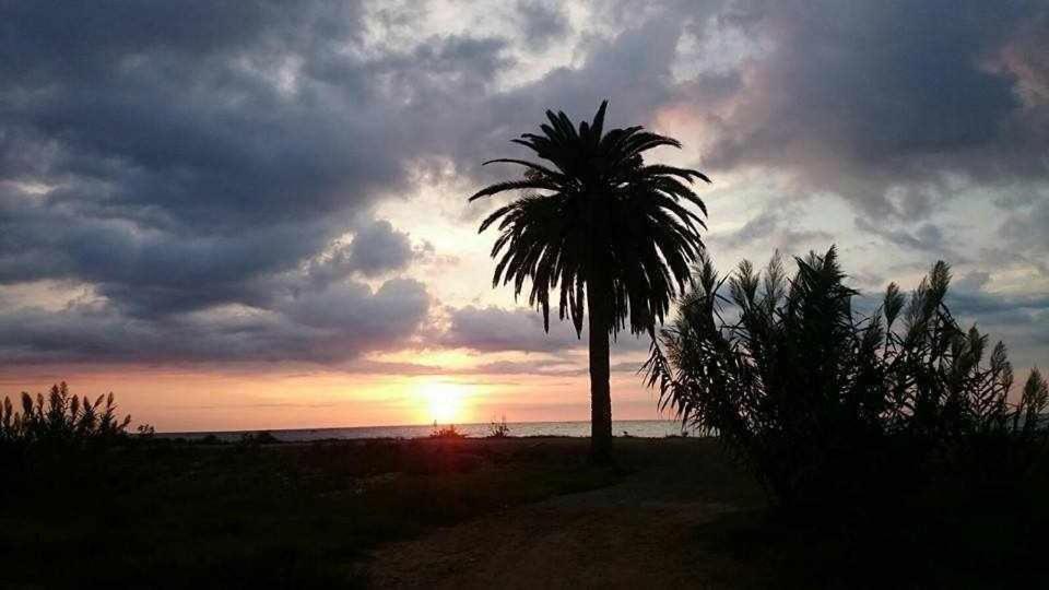 Mediterrania Marina Sagunto الغرفة الصورة
