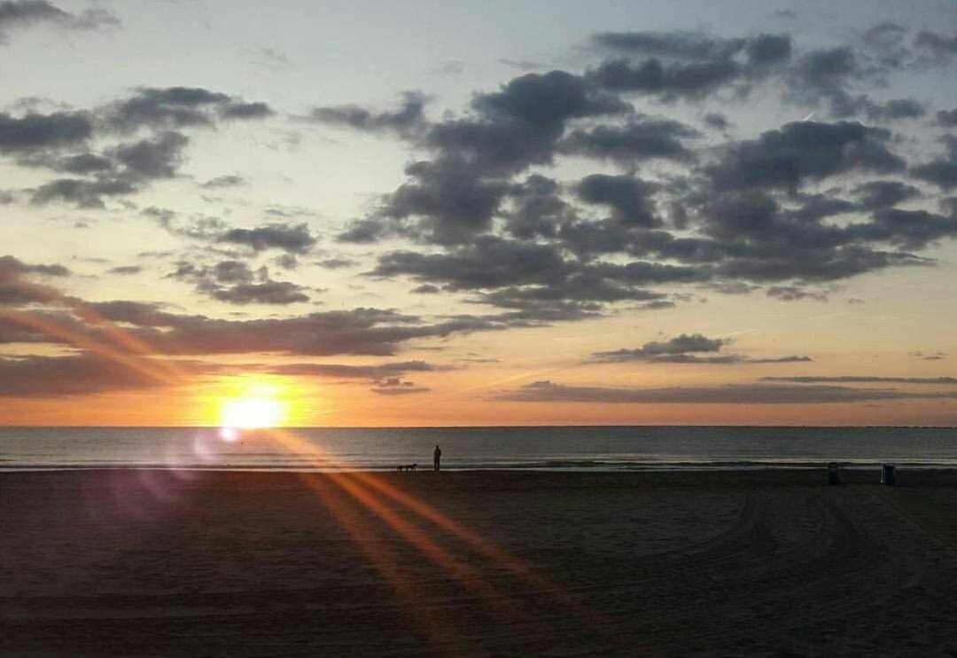 Mediterrania Marina Sagunto الغرفة الصورة