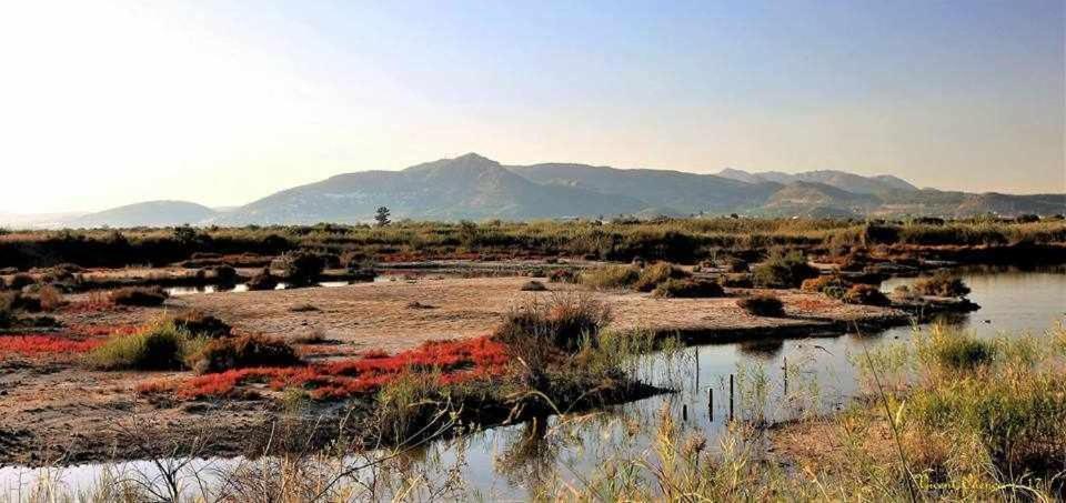 Mediterrania Marina Sagunto الغرفة الصورة